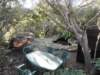 braaibbqarea_small.jpg