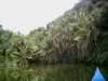 datepalmsendoftrailred_small.jpg