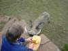 feedingwally_small.jpg